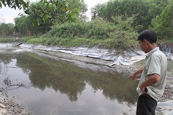 Phản đối trại heo gây ô nhiễm, dân ngày đêm "gác cửa"