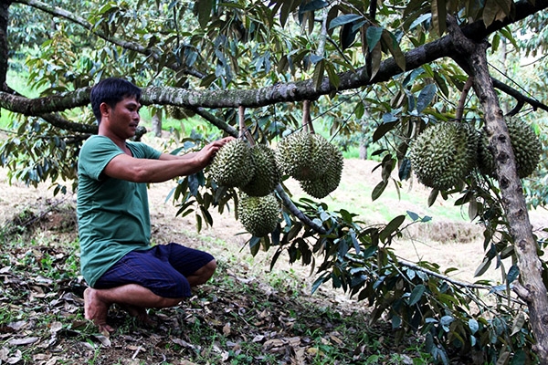 Nơi không còn người nghèo