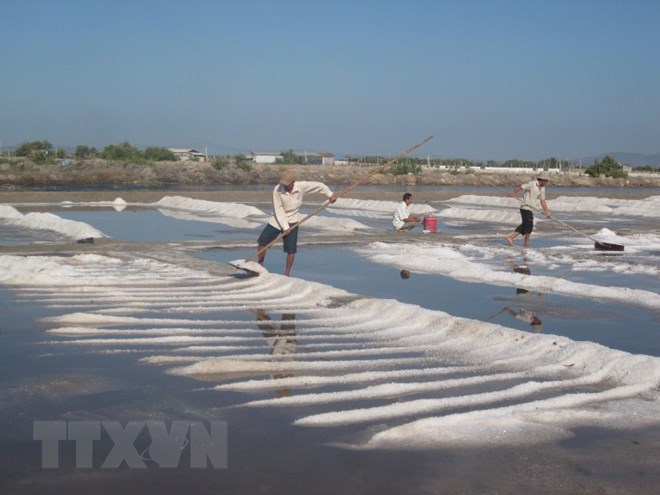 90% người dân Việt Nam ăn muối nhiều hơn mức khuyến cáo