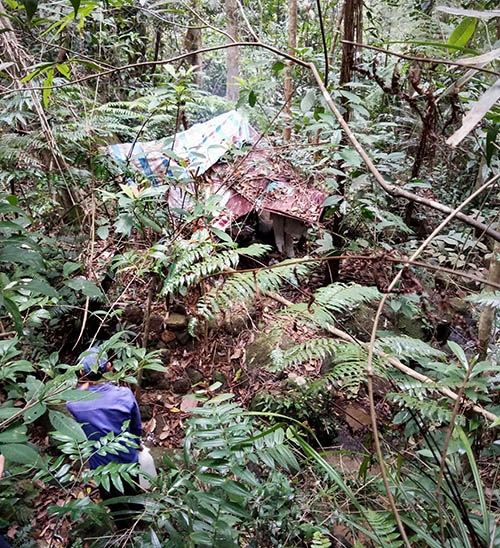 Phát hiện thi thể nam thanh niên phân hủy giữa rừng