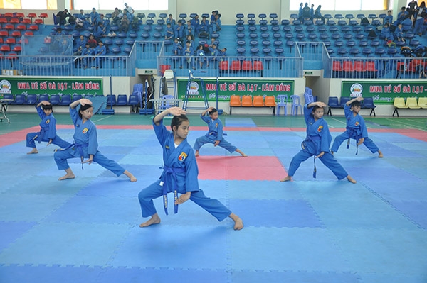 Bài biểu diễn quyền của các môn sinh Vovinam tại giải