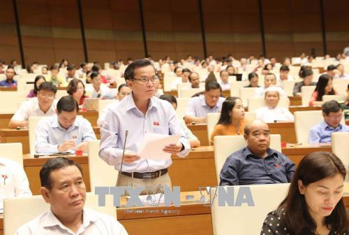 Đại biểu Quốc hội tỉnh Đắk Nông Võ Đình Tín phát biểu