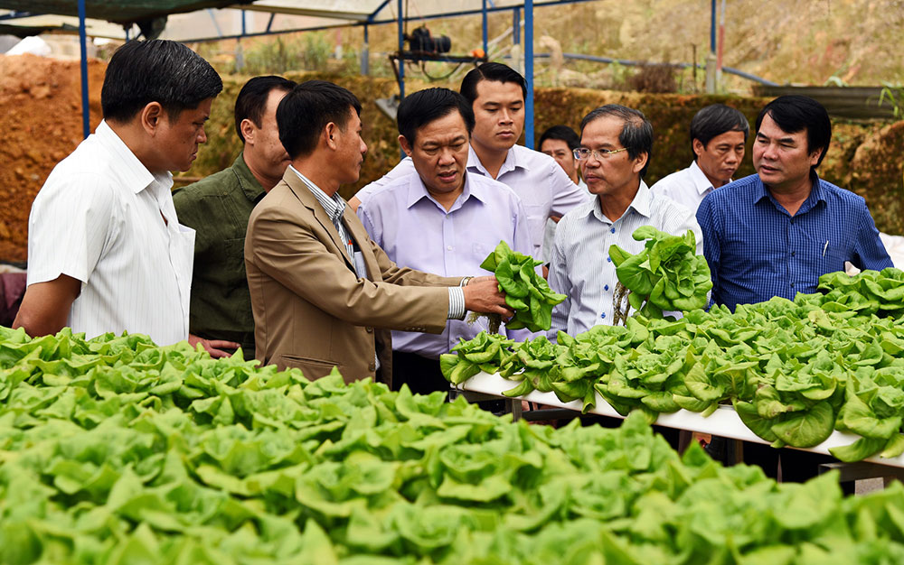 Nông nghiệp công nghệ cao của Lâm Đồng là điểm sáng trong cả nước hiện nay. Trong ảnh: Đồng chí Nguyễn Xuân Tiến - UVTW Đảng, Bí thư Tỉnh ủy (thứ hai từ phải qua) thăm HTX Tân Tiến - Đà Lạt. Ảnh: Văn Báu