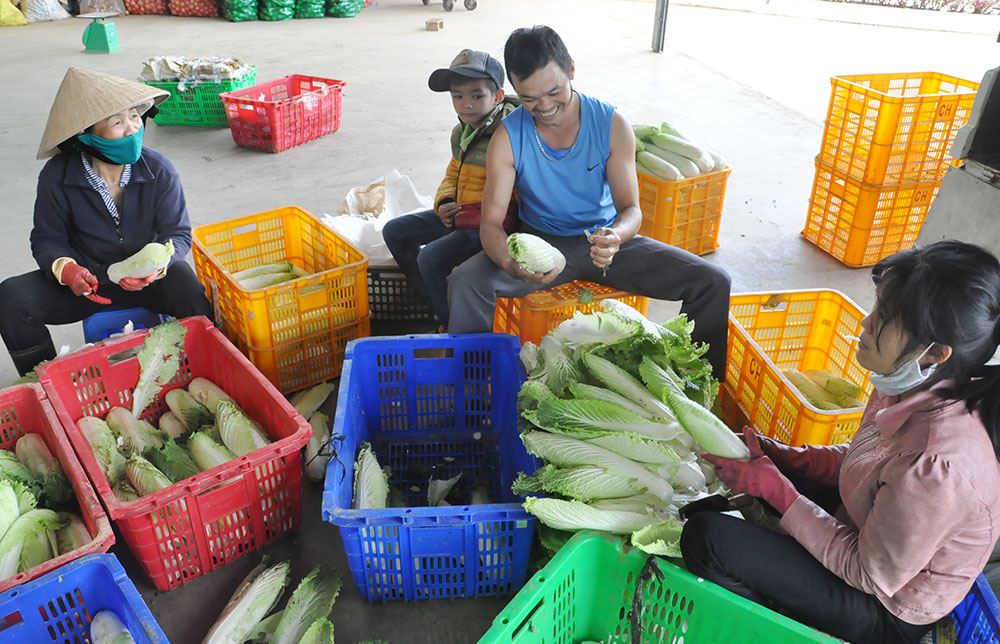 Gia đình ông Nguyễn Đình Ân đang chuẩn bị hàng cho HTX Anh Đào. Ảnh: V.T