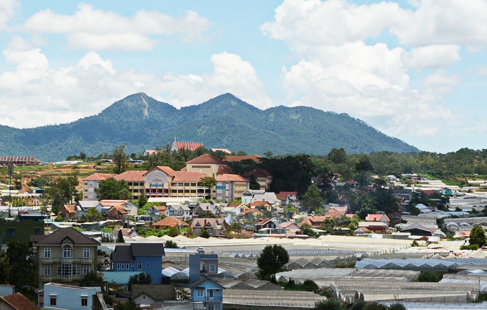 Quyết tâm phát triển làng hoa bền vững