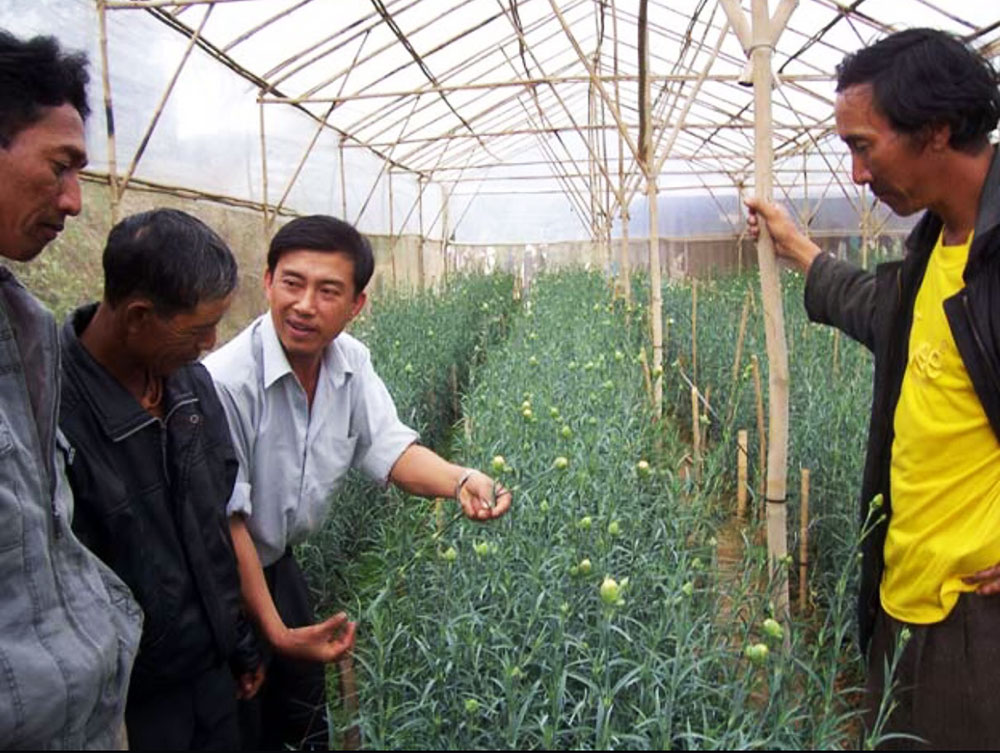 Mô hình những người có công với cách mạng giúp nhau trong sản xuất rau, hoa ở Đơn Dương. Ảnh: A.Nhiên