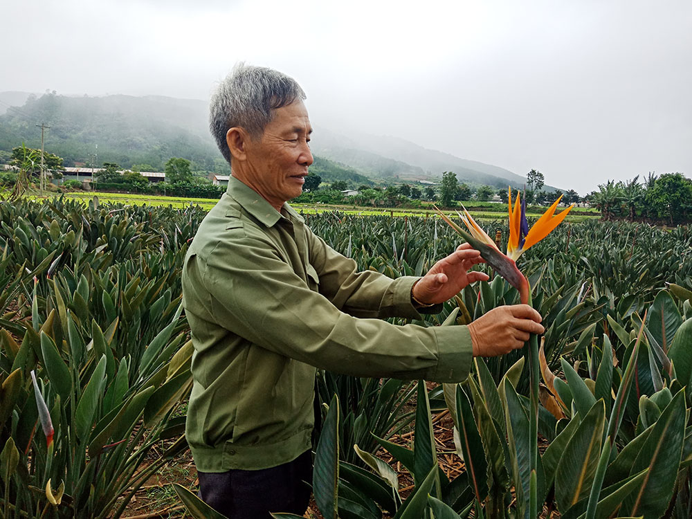 Làm kinh tế giỏi, sẻ chia cùng những hoàn cảnh khó khăn