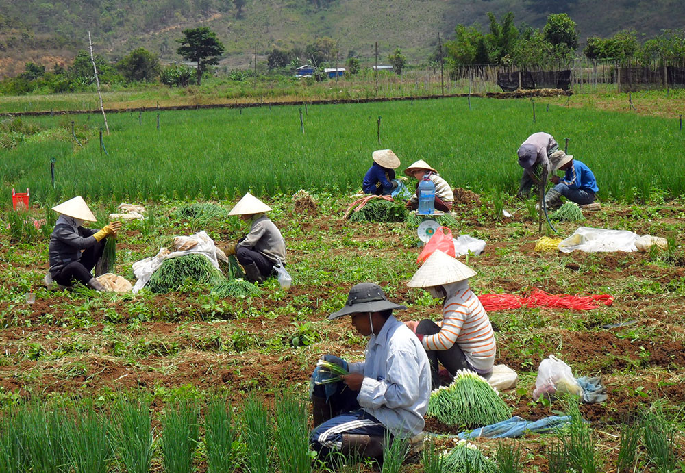 "Lưới đỡ" để an sinh xã hội