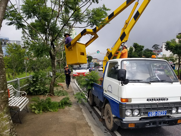 Nhân viên Công ty Cổ phần Dịch vụ đô thị Đà Lạt cắt tỉa cây xanh trên đường Nguyễn Văn Cừ nối dài