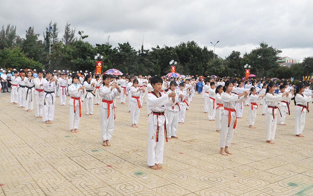 Đồng diễn võ thuật 