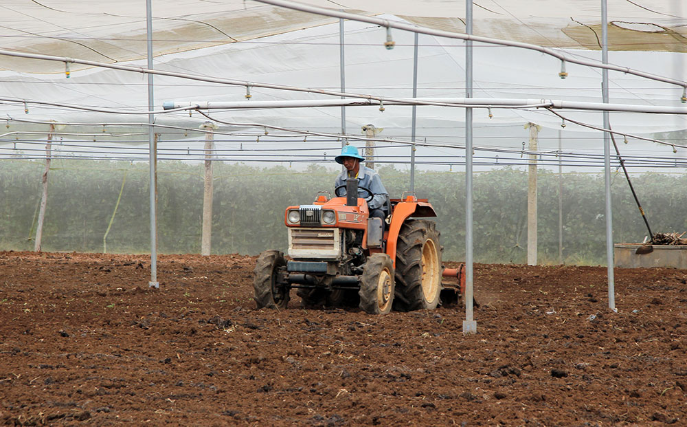 Trình độ sản xuất nông nghiệp ngày càng cao của nông dân trên địa bàn đã góp phần thúc đẩy mạnh mẽ  nền nông nghiệp cũng như bộ mặt nông thôn huyện Đơn Dương. Ảnh: N.Ngà