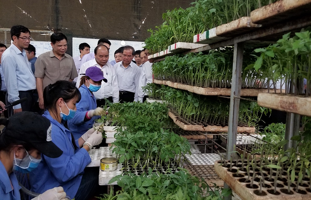Thủ tướng Chính phủ Nguyễn Xuân Phúc thăm vườn rau CNC tại Công ty TNHH Phong Thúy