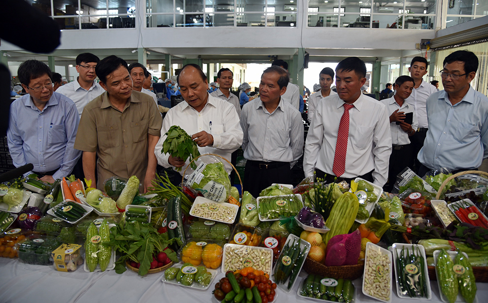 Thủ tướng thăm công đoạn sau thu hoạch tại Công ty TNHH Phong Thúy