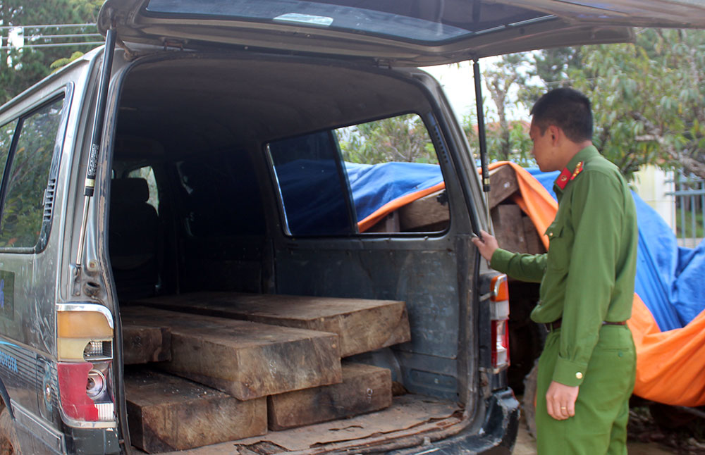 Công an huyện Lạc Dương thu giữ tang vật vụ việc dùng xe biển số ngoại tỉnh để vận chuyển gỗ không rõ nguồn gốc. Ảnh: Đ.T