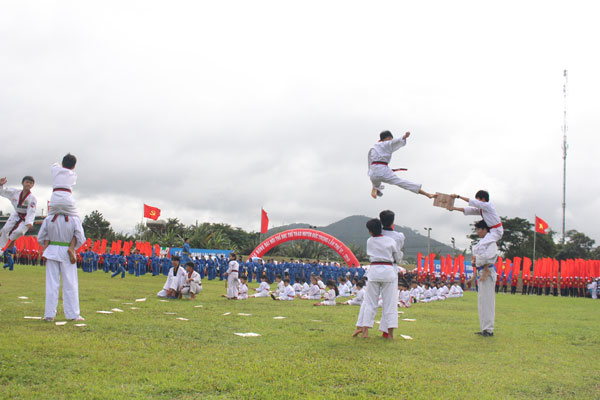 Biểu diễn võ thuật tại Đại hội