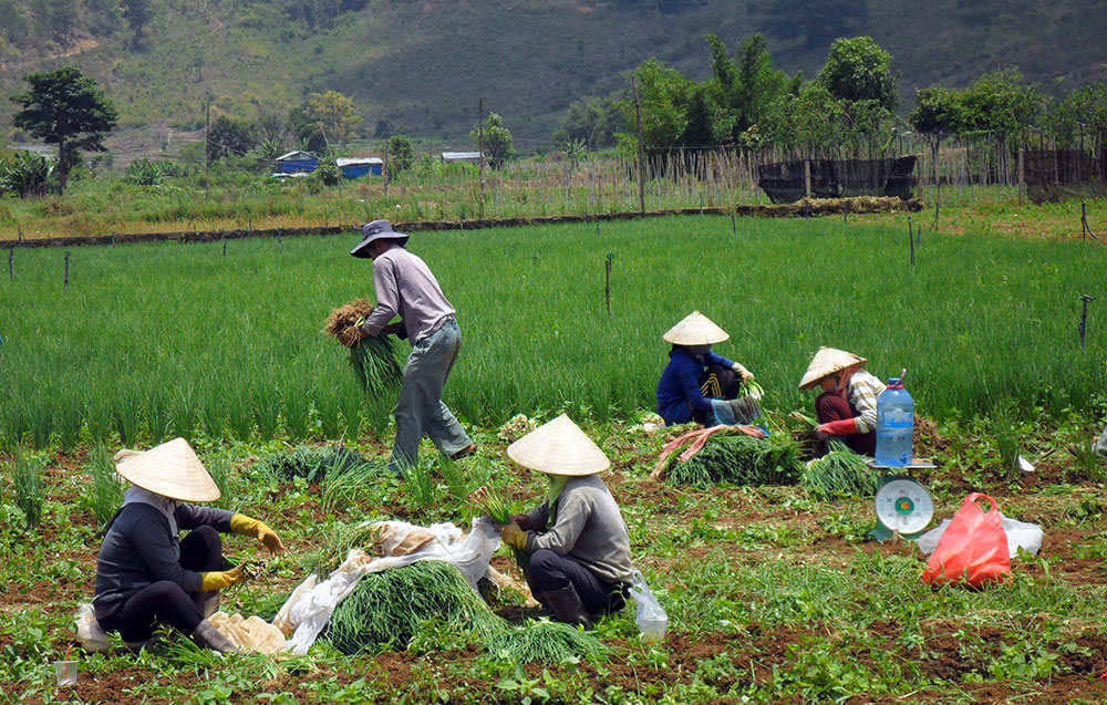 Bảo hiểm xã hội tự nguyện - Tích lũy để an hưởng tuổi già