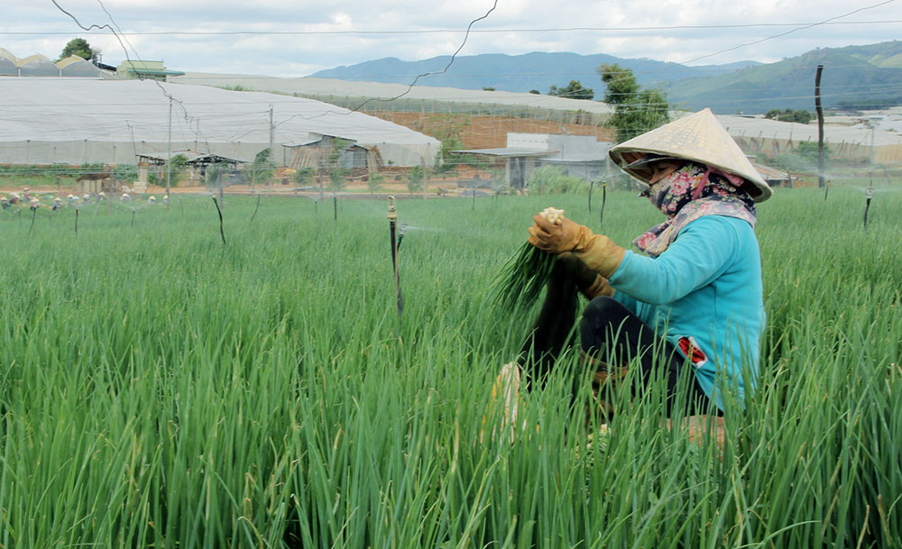 Ðơn Dương: Những bước tiến dài trong hành trình giảm nghèo