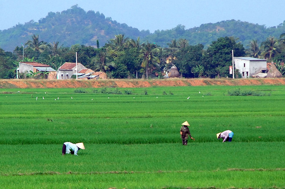 Cát Tiên, ngày trở lại