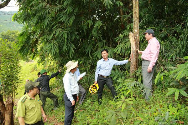 Trước những diễn biến còn phức tạp, đồng chí Phạm S - Phó Chủ tịch UBND tỉnh lưu ý huyện Đam Rông phải tập trung tăng cường về công tác QLBVR