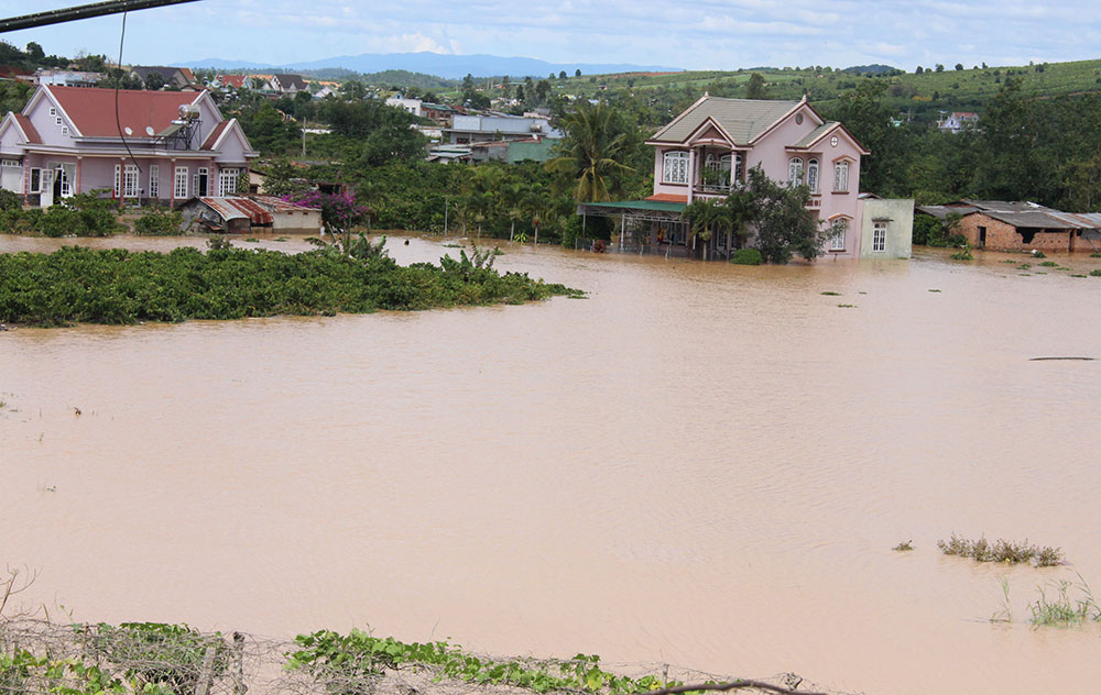 Hoa màu và nhà cửa của người dân chìm trong biển nước