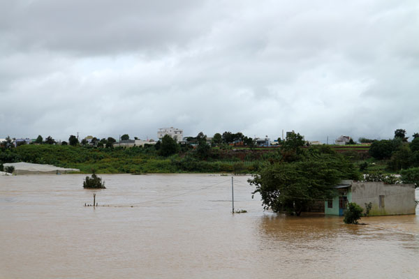 Mưa bão số 9 gây ngập úng trên 70 ha rau màu