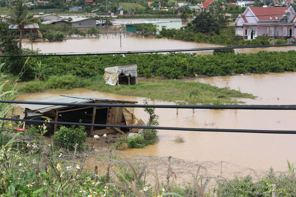 Hoa màu và nhà của người dân giữa mênh mông biển nước