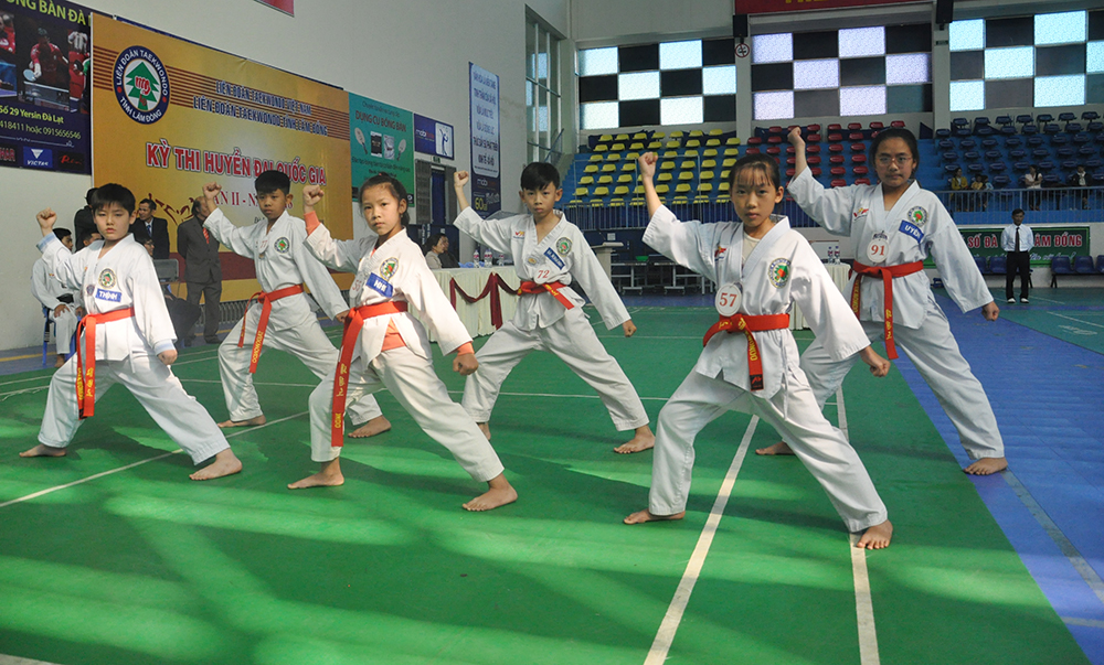 167 võ sinh Lâm Đồng thi nâng đẳng môn Taekwondo-2018