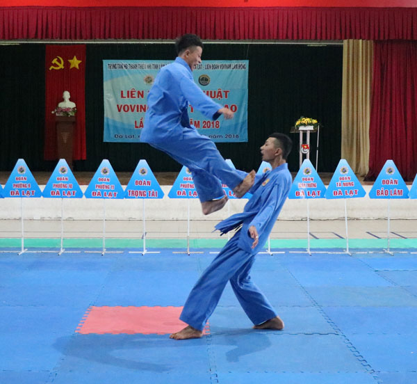 Trao 25 bộ huy chương tại Liên hoan Võ thuật Vovinam - Việt Võ Đạo Đà Lạt lần thứ IV - 2018