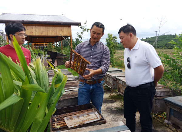 Đến với mô hình du lịch canh nông, du khách không chỉ được mua các sản phẩm đảm bảo chất lượng mà còn được tìm hiểu quy trình chế biến các sản phẩm. (Trong ảnh: Du khách đang tìm hiểu quy trình nuôi ong lấy mật tại Công ty TNHH Mật ong Thái Dương).