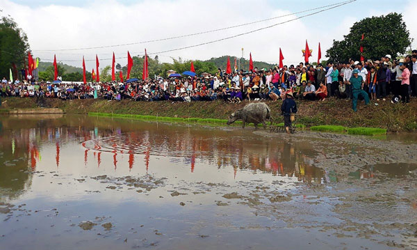 Đạ Tẻh vui hội Lồng Tồng mừng Xuân Kỷ Hợi 2019