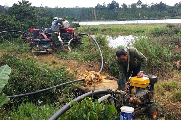 Tại các ao hồ thủy lợi, nhiều máy bơm nước hoạt động liên tục