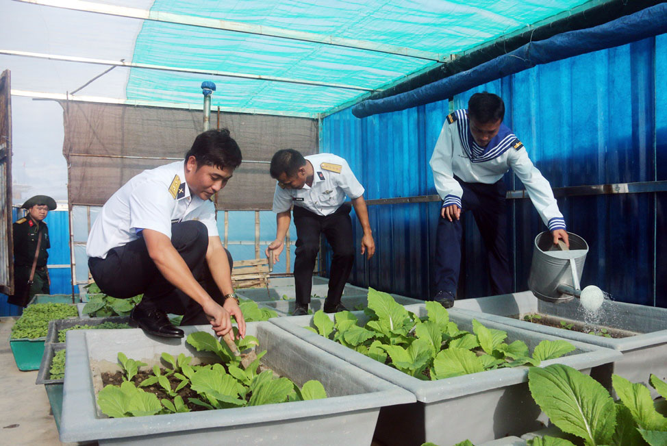 Hằng năm, đảo Đá Thị đều đạt và vượt chỉ tiêu về tăng gia sản xuất. Ảnh: N.B