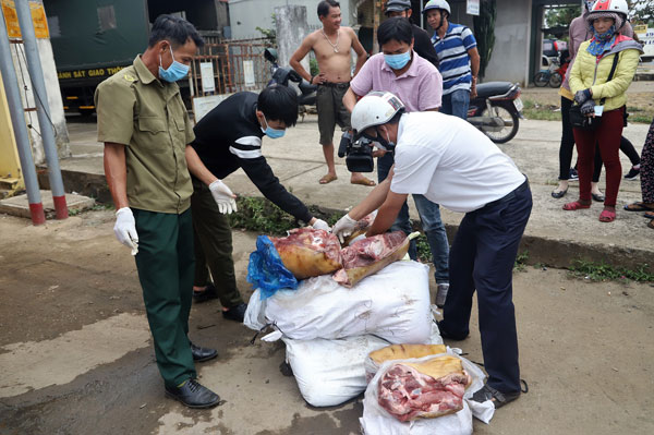 Tạm giữ hơn 270 kg thịt heo đang trong giai đoạn phân hủy