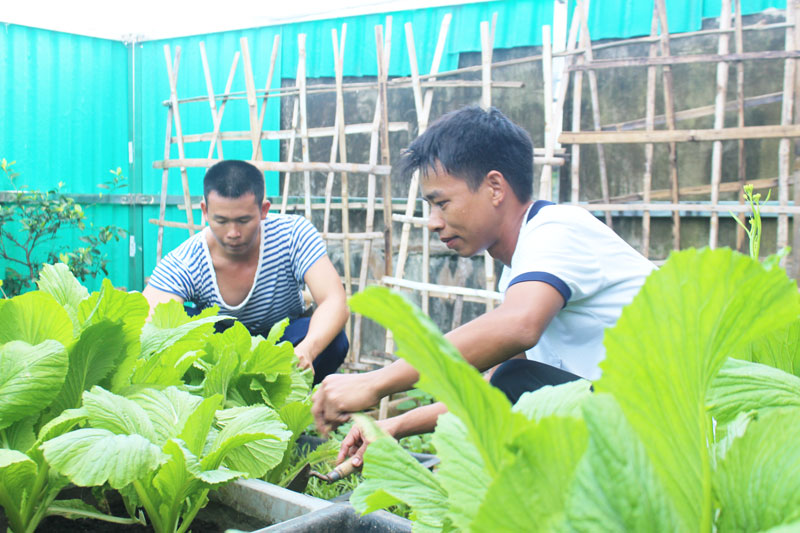 Lính đảo tăng gia sản xuất