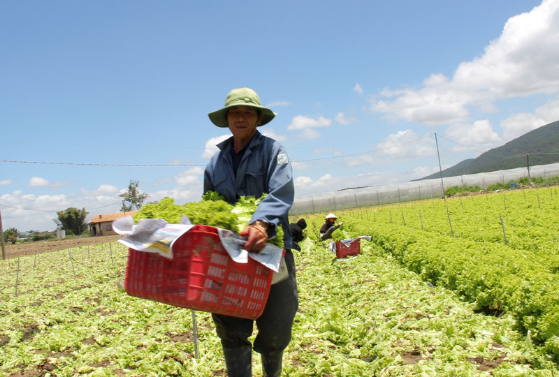 Đơn Dương: Thắt chặt kỷ luật, kỷ cương trong Ðảng