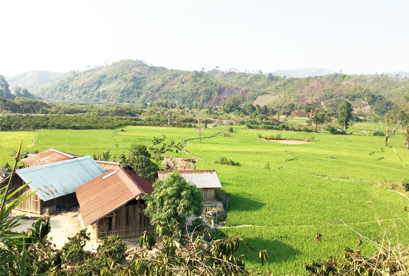 Dai dẳng tệ nạn ma túy ở làng Mông (Kỳ cuối)