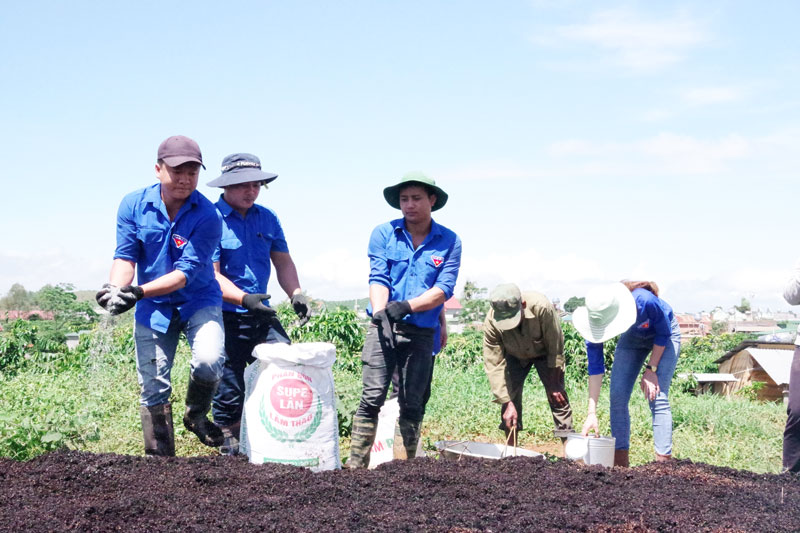 Việc quan tâm của chính quyền địa phương cũng như sự chủ động của Huyện đoàn, đã tạo môi trường thuận lợi để thanh niên trưởng thành và cống hiến. Ảnh: H.My