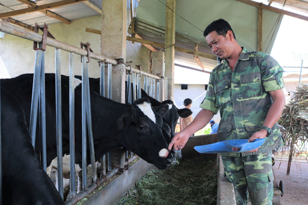 Cựu chiến binh tiêu biểu làm kinh tế giỏi