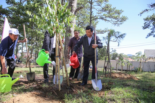 Đà Lạt: Trồng hơn 6.000 cây xanh cho thành phố