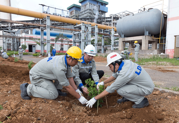 Công ty Nhôm Lâm Đồng phát động trồng 1.400 cây hoa giấy