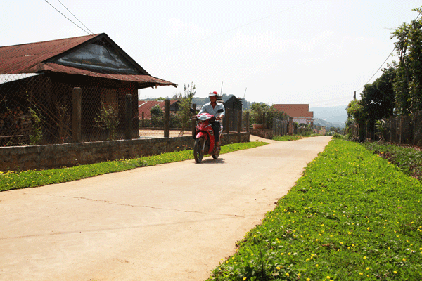 Giáo xứ sáng, xanh, sạch, đẹp, an toàn