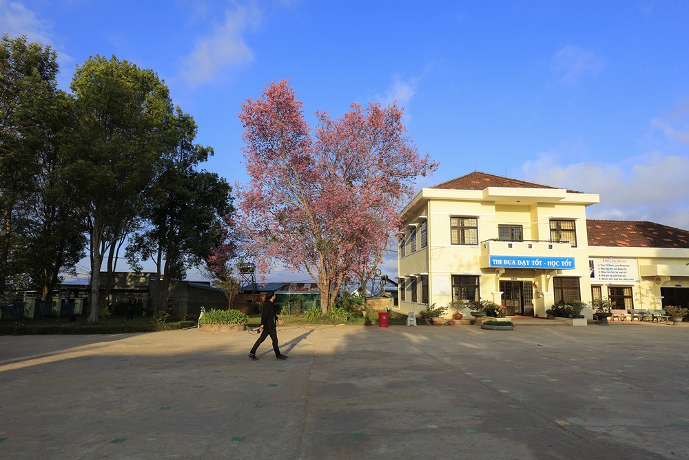 Thêm những &quot;khoảng trời hồng&quot; cho thành phố