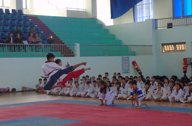 Lâm Hà tổ chức giải Taekwondo năm 2019