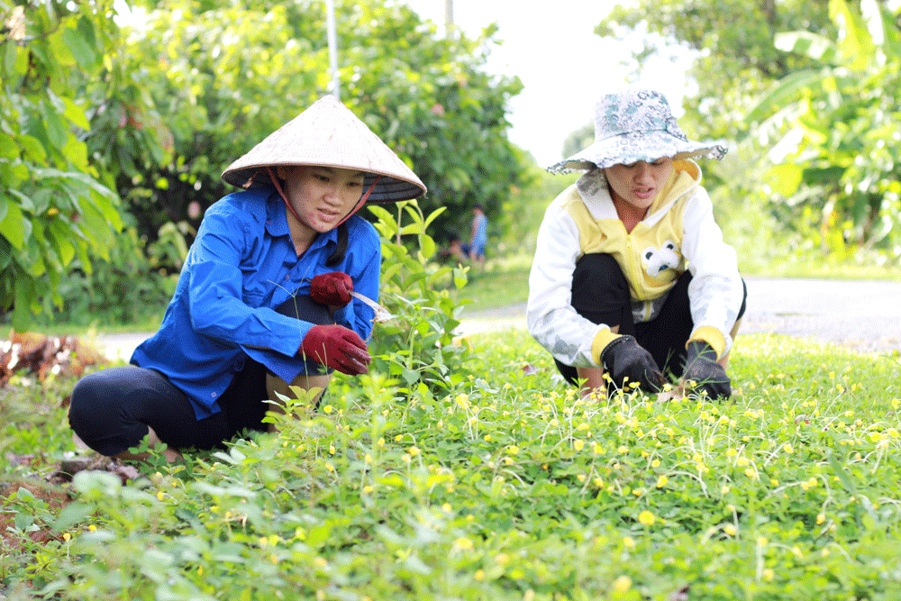 Thực hiện Chỉ thị 05 là nhiệm vụ xuyên suốt, lâu dài