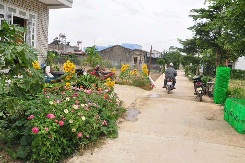 Hoa trên đường làng Lạc Thạnh. Ảnh: G.K