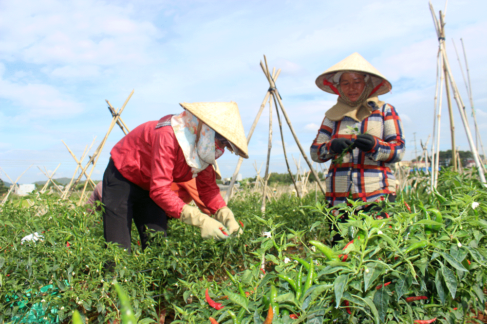 Làm giàu không chỉ cho riêng mình