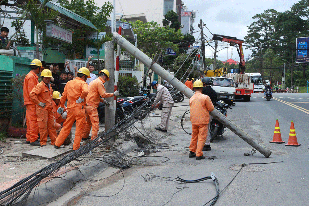 Đà Lạt: Gió giật làm đổ nhiều cây xanh, trụ điện