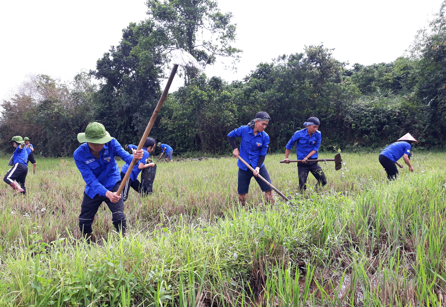 Màu xanh tình nguyện in đậm dấu ấn trên vùng quê. Ảnh: D.Danh