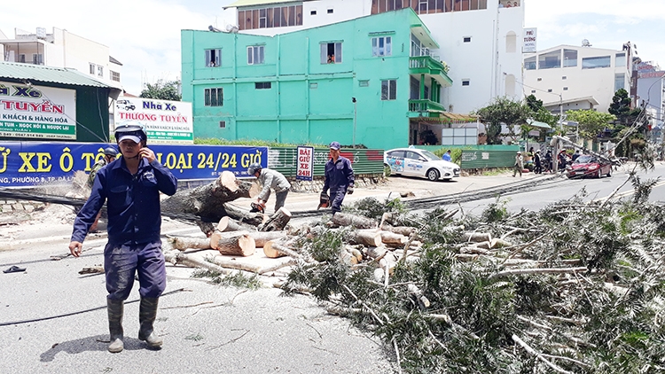 Tăng cường công tác ứng phó với tình hình mưa bão, lũ lụt