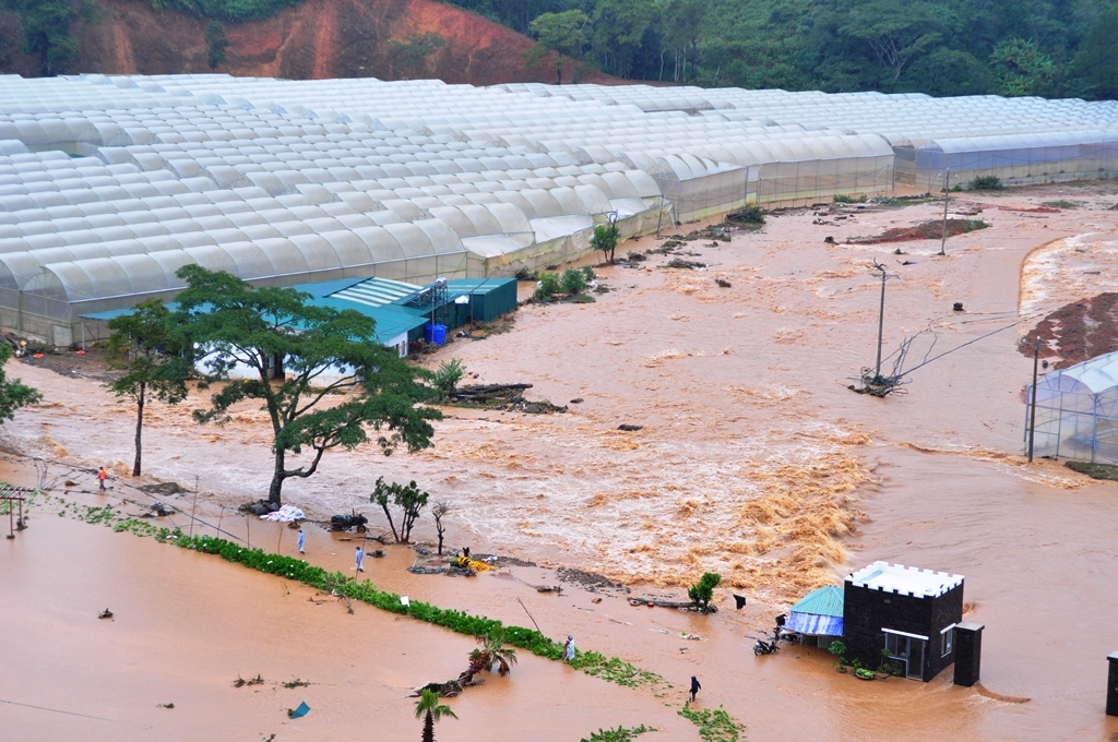 Hơn 100 ha hoa màu, nhà kính tại xã Lát bị ngập nặng